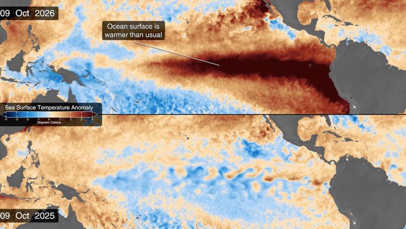 Super El Niño’ Threatens Pacific Marine Life as Ocean Temperatures Soar